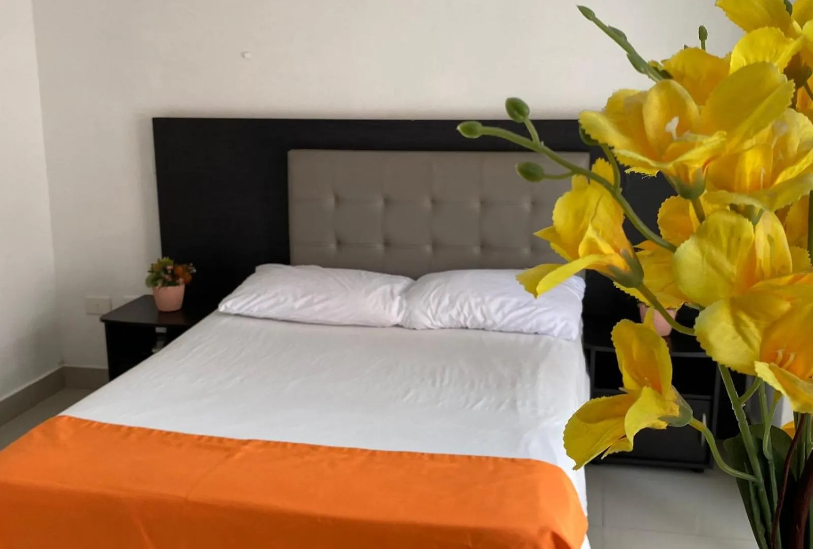 Hotel Emporium El Coral Laureles Medellín
